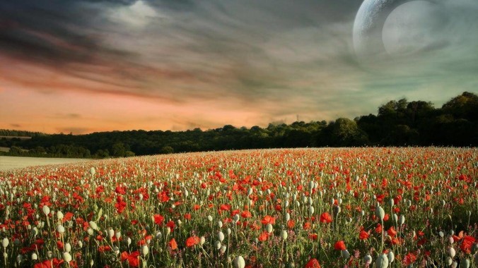 什么是微软式中文？